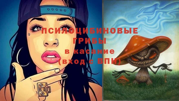 винт Козловка