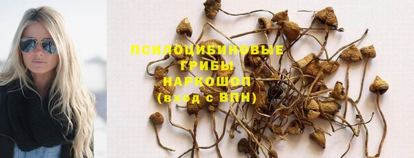 тгк Костерёво